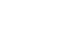Light-Logo